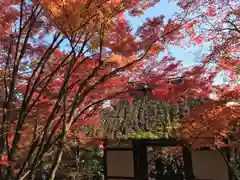 常寂光寺(京都府)