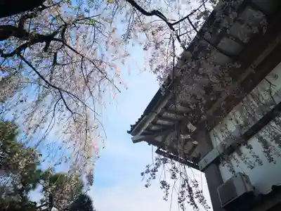 善光寺のその他建物