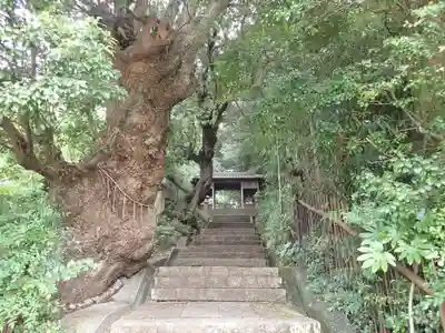 八幡神社のその他建物