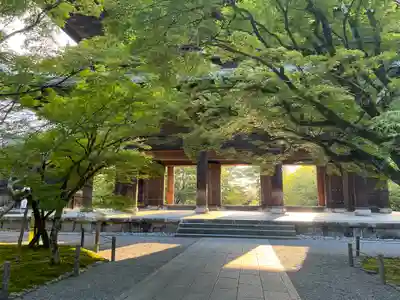 南禅寺の山門・神門