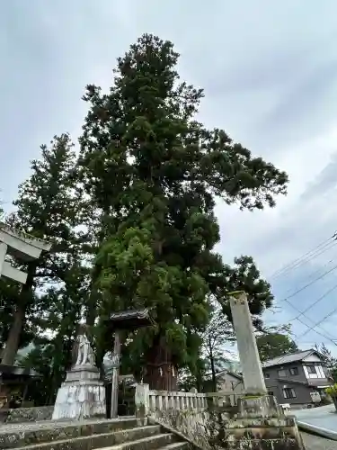 飛驒一宮水無神社(岐阜県)