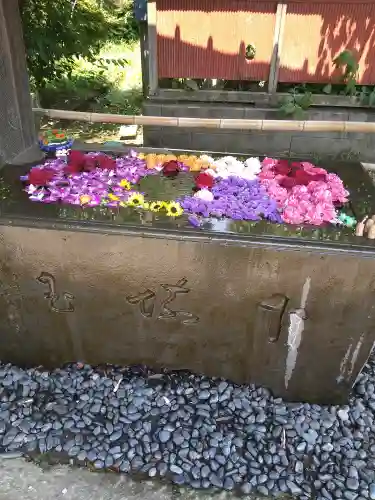 前玉神社(埼玉県)