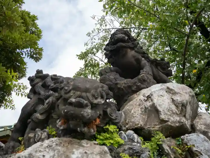 神田神社(神田明神)の狛犬