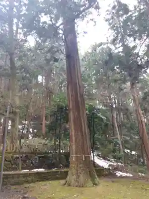 国中神社(福井県)