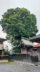 石井神社(茨城県)