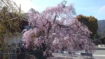 久遠寺(山梨県)