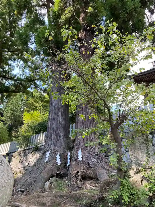 筑波山神社(茨城県)