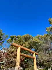 堀越神社の鳥居