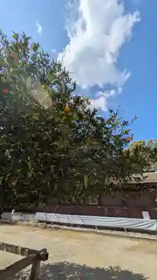 平野神社(京都府)