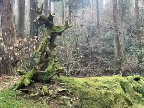 御岩神社の自然