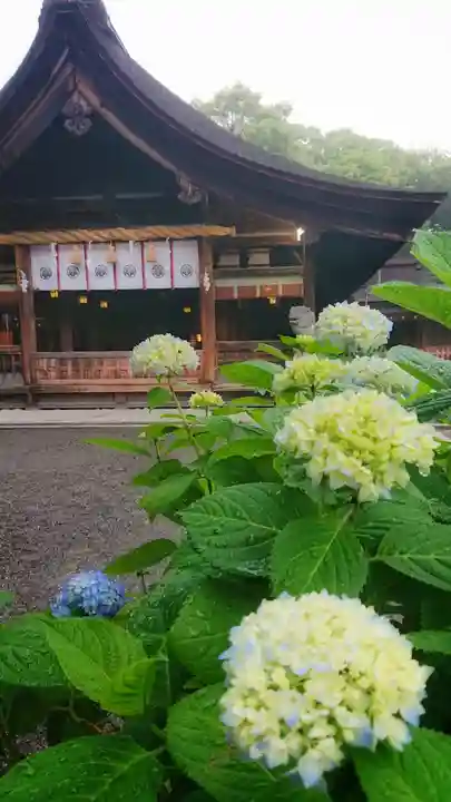 尾張大國霊神社(国府宮)の自然
