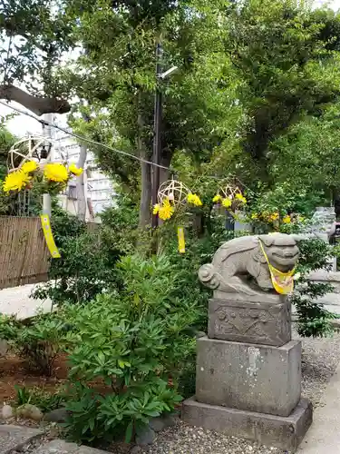 菊田神社の狛犬