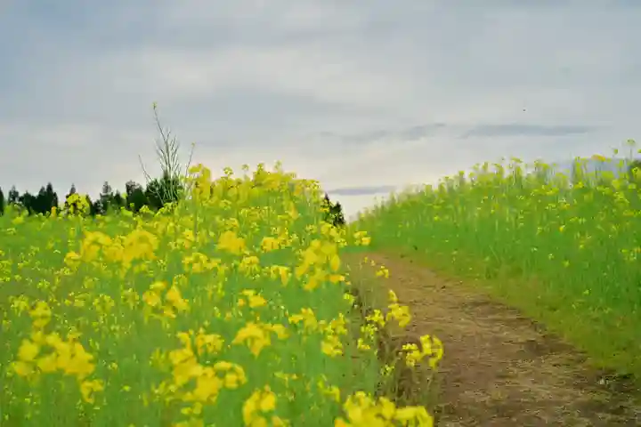 沢山神社(澤山神社)(新潟県)