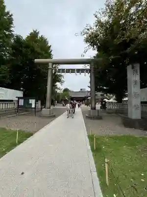 浅草神社の鳥居