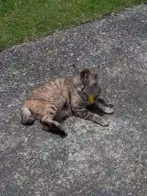 海善寺(静岡県)