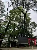 西堀氷川神社(埼玉県)