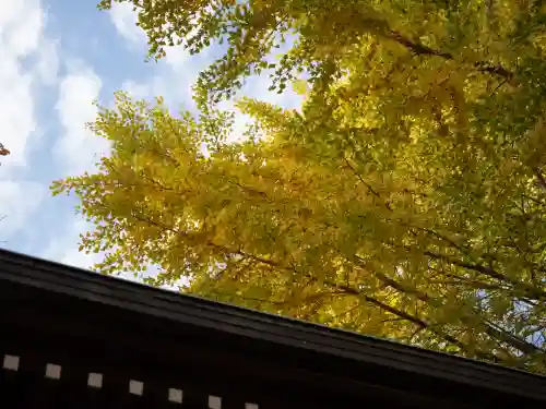 宇迦八幡宮(東京都)