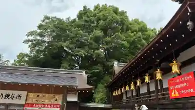 賀茂別雷神社(上賀茂神社)の本殿・本堂