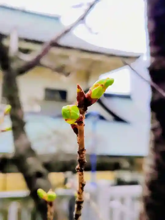 五條天神社(東京都)