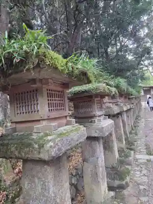春日大社(奈良県)
