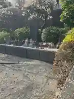 赤羽八幡神社の{uncategorized: "未分類", other: "その他", undefined: "問題あり", building: "その他建物", grave: "お墓", sacred_gate: "鳥居", guardian: "狛犬", statue: "像", buddha: "仏像", history: "歴史", nature: "自然", garden: "庭園", animal: "動物", pagoda: "塔", temizu: "手水舎", mountain_gate: "山門・神門", sanctuary: "本殿・本堂", subordinate: "末社・摂社", art: "芸術", scenery: "景色", jizo: "地蔵", ema: "絵馬", goshuin: "御朱印", omikuji: "おみくじ", items: "授与品その他", amulet: "お守り", goshuincho: "御朱印帳", eats: "食事", festival: "お祭り", votive_dance: "神楽", shichigosan: "七五三参", wedding: "結婚式", experience: "体験その他", initially: "初詣", around: "周辺", anti_infection: "感染症対策"}