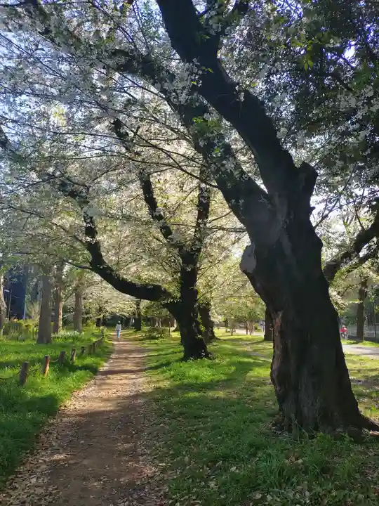 大宮八幡宮(東京都)