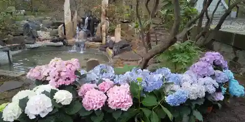 上川神社の庭園