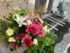 彌彦神社　(伊夜日子神社)(北海道)