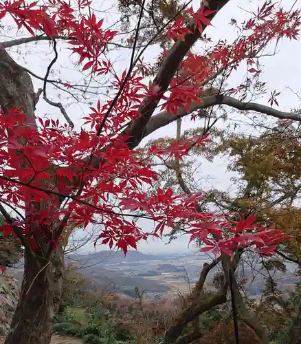 唐澤山神社の景色