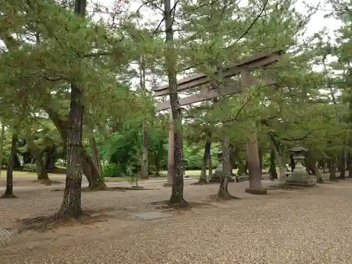 出雲大社(島根県)