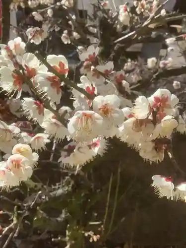 六所神社の庭園