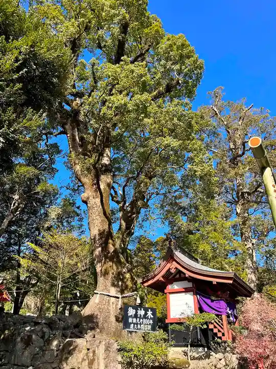鹿児島神宮(鹿児島県)