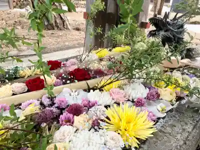 札幌護國神社の手水舎