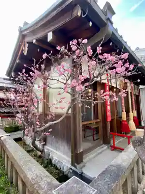 市比賣神社(京都府)