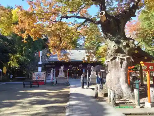新田神社(東京都)