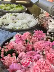 津島神社の手水