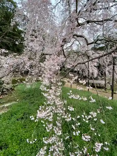 曹源寺(岡山県)