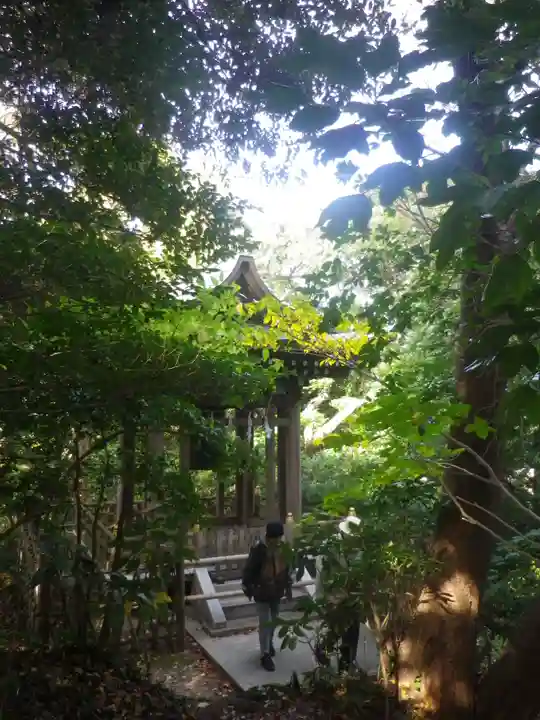 安國論寺(安国論寺)の自然