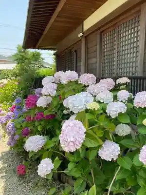 円照寺の本殿・本堂