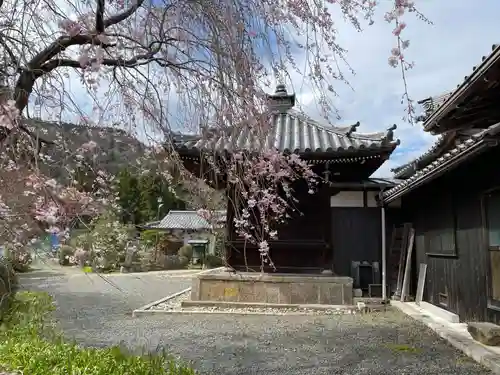 三鈷寺(京都府)