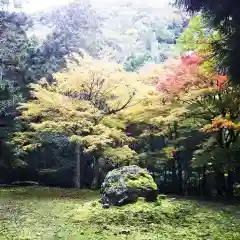 深山 飯盛寺の庭園