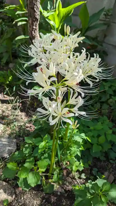 乾窓院(京都府)