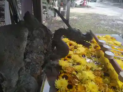 清洲山王宮　日吉神社の手水舎