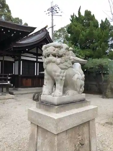 荒井神社の狛犬