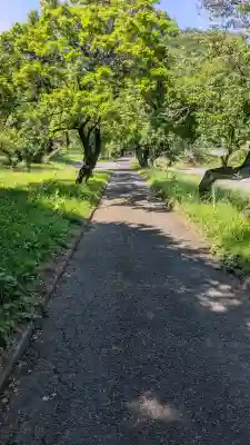 華藏寺(梅澤不動尊) (栃木県)
