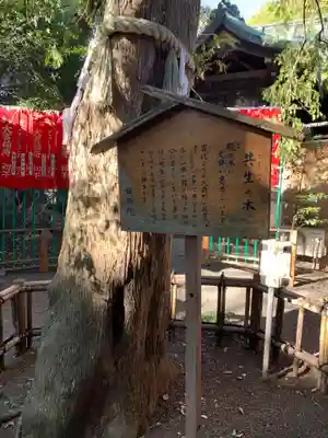 大宮八幡宮の歴史