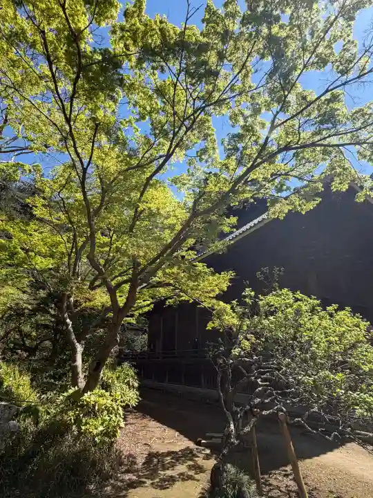 妙本寺の{uncategorized: "未分類", other: "その他", undefined: "問題あり", building: "その他建物", grave: "お墓", sacred_gate: "鳥居", guardian: "狛犬", statue: "像", buddha: "仏像", history: "歴史", nature: "自然", garden: "庭園", animal: "動物", pagoda: "塔", temizu: "手水舎", mountain_gate: "山門・神門", sanctuary: "本殿・本堂", subordinate: "末社・摂社", art: "芸術", scenery: "景色", jizo: "地蔵", ema: "絵馬", goshuin: "御朱印", omikuji: "おみくじ", items: "授与品その他", amulet: "お守り", goshuincho: "御朱印帳", eats: "食事", festival: "お祭り", votive_dance: "神楽", shichigosan: "七五三参", wedding: "結婚式", experience: "体験その他", initially: "初詣", around: "周辺", anti_infection: "感染症対策"}