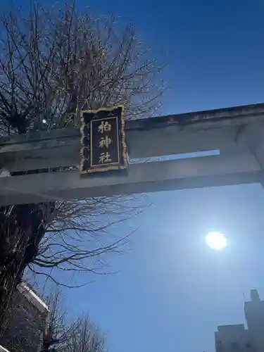 柏神社(千葉県)