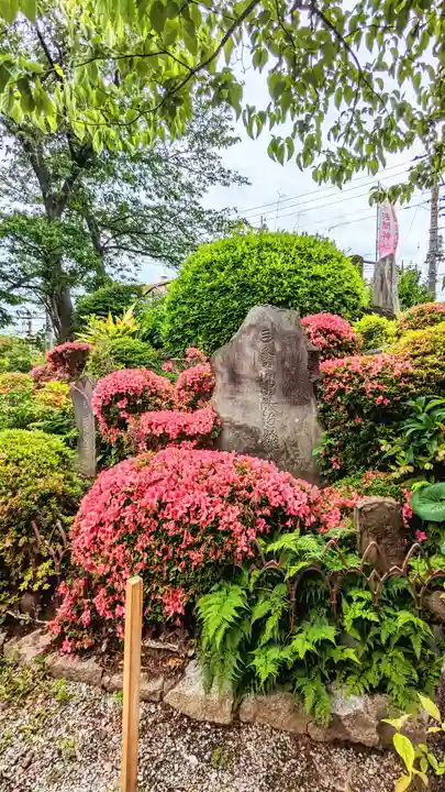 鎮守氷川神社のその他建物