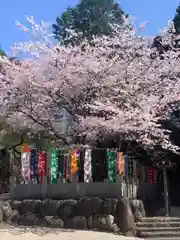 大縣神社の自然